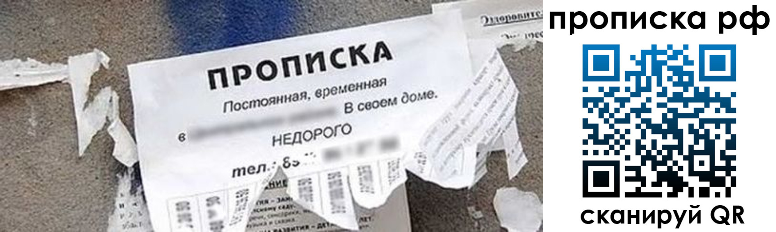 где прописаться в Полярных Зорях